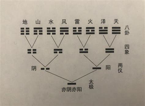 爻的意思